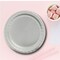 24 Count Metallic Silver Paper Plates 7" Round Disposable Dessert Plates for Events